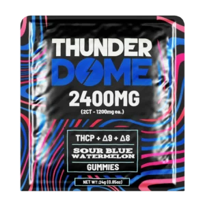 Thunderdome - Sour Blue Watermelon Gummies (2ct)